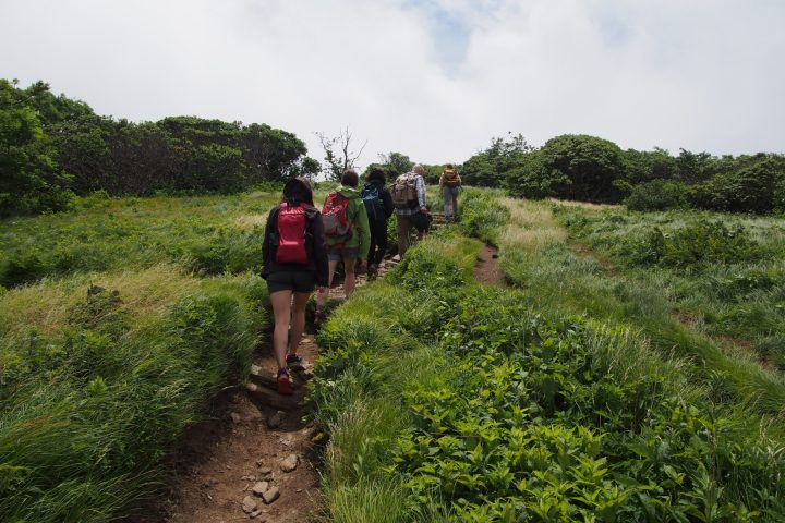 group hiking